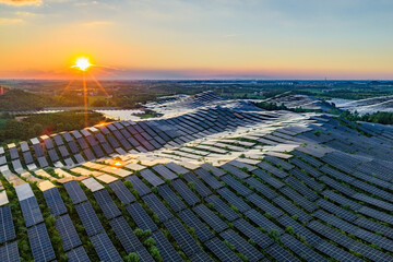 Photovoltaic panels on a hillside at sunset