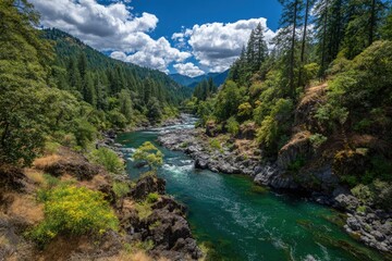 Scenic Mountain River With Lush Forest And Sunlight