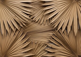 Textured Tapestry of Overlapping Dried Fan Palm Fronds Creating a Natural Geometric Pattern.