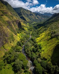 Fototapeta premium Aerial View Of Lush Valley With River Winding Through Green Forest