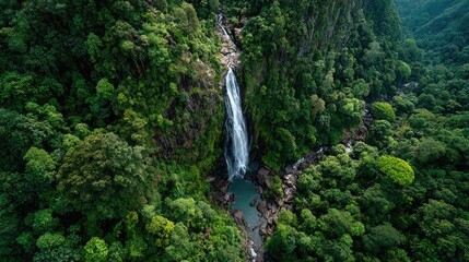 Lush green forest canopy surrounds a tall waterfall