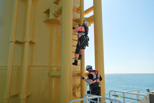 Offshore Rigger Technician Climbing Yellow Wind Turbine Monopile Ladder During Wind Farm Construction Maintenance, GWO Work On Height