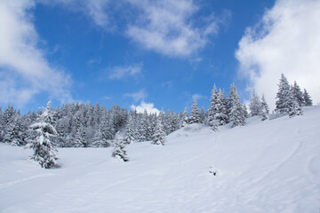 Obraz premium Alpine landscape in Les Houches, Chamonix, Mont Blanc, Haute-Savoie, France