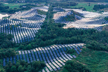 Photovoltaic panels on a hillside at sunset