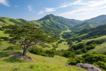 Naklejka premium captivating summer landscapes across countries feature lush green hills with solitary tree