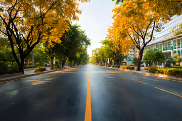 Empty road in city in autumn time.