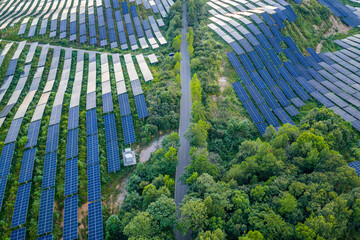 Photovoltaic panels on a hillside at sunset