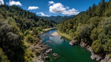 Panoramic View Of Serene River Winding Through Lush Forest