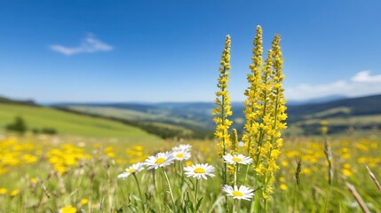 A vibrant field filled with blooming daisies and yellow flowers under a clear blue sky creates a serene landscape, ideal for nature-themed projects, environmental awareness, or wellness campaigns,