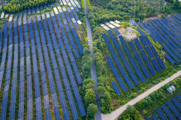Photovoltaic panels on a hillside at sunset