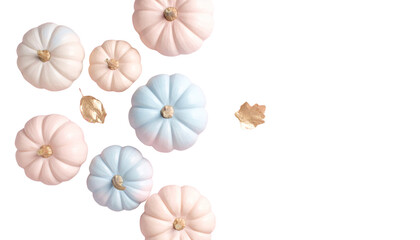 Beautiful pumpkin icon illustration isolated on white background