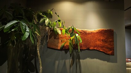 Natural handcrafted rustic wooden decorative wall for exclusive homedecor with dim lighting. © Gianti