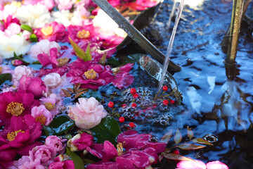 正月の初詣　寺の花手水と浮かぶ花々