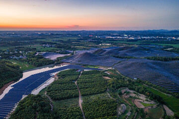 Photovoltaic panels on a hillside at sunset
