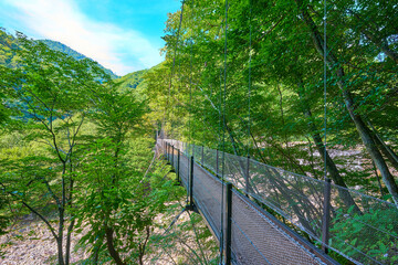 Obraz premium 山梨県山梨市 西沢渓谷の笛吹川に架かる二俣吊橋