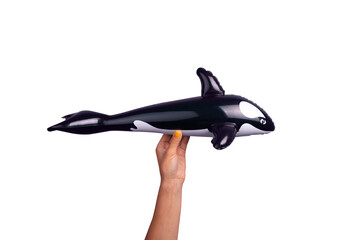 A hand with yellow nail polish holding an inflatable orca whale toy on transparent background, ...