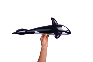 A hand with yellow nail polish holding an inflatable orca whale toy on transparent background, ideal for playful and creative concepts.