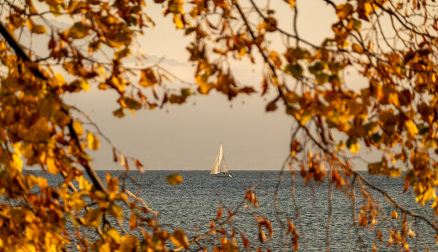 Autumn reflections on lake Leman in Geneva, Switzerland