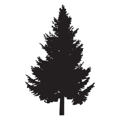 Pine Tree Silhouette