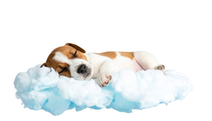 a cute dog sleeping on fluffy material, isolated on transparent background