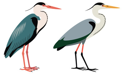 Obraz premium stork and baby