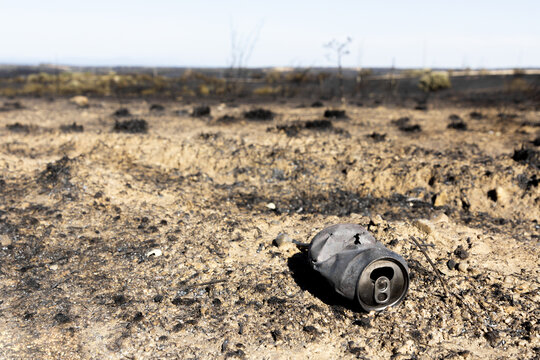 Aftermath of a wildfire in Castilla la Mancha