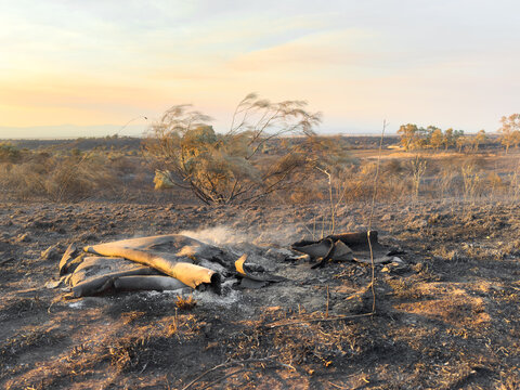 Scorched landscape in Castilla La Mancha wildfire