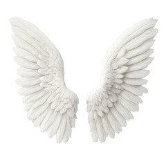 Fototapeta premium White angel wings feathered design isolated on black background fantasy concept
