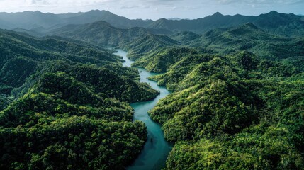 Lush Green Hills and Serene River Flow Through Dense Forest in A Remote Landscape Surrounded by Majestic Mountains Under a Bright Blue Sky