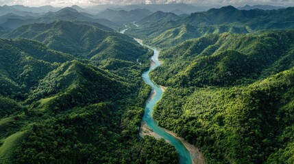 Lush Green Mountains Surrounding Serene River Flowing Through Vibrant Rainforest in Tranquil Landscape Under Partly Cloudy Sky