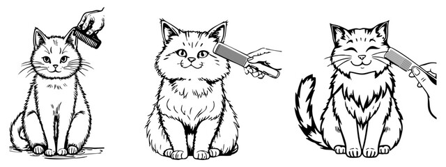 Fototapeta premium Three black and white illustrations depict cats being groomed with a comb, showing different angles and expressions of the felines during the process, created with AI