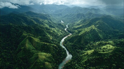 Majestic Aerial View of Verdant Mountains and Serpentine River Flowing Through Lush Green Forest in Natural Paradise Under Cloudy Sky