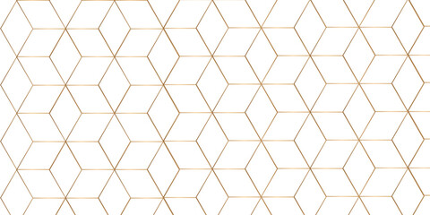 Modern minimal and clean white gold background with realistic line wave geometric circle shape, abstract white and gold colors with lines pattern texture computer geometric digital connection design .