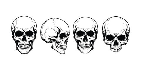 Human Skull Vector Illustration Set – Detailed Skull Drawings from Different Angles for Tattoo, Halloween, and Design