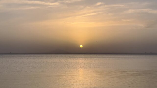 LGBTI collective you only live once