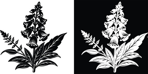 Elegant digitalis flower artwork perfect for cards, invites, and botanical themed projects with crisp white silhouette on black background
