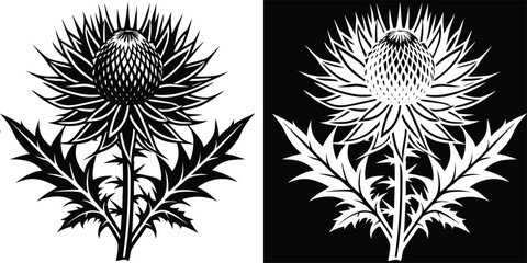 Striking thistle flower design in black and white for elegant botanical illustrations, tattoos, and nature-inspired branding projects