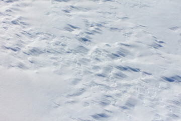 The snow is white and the ground is covered in it