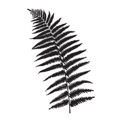 Palm Leaf Simple Silhouette