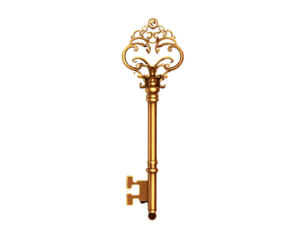Detailed vintage key silhouette with intricate patterns and elaborate design features