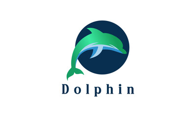 Dolphin Creative Design Logo