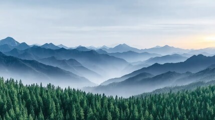 Obraz premium Aerial perspective of a forested mountain range during sunset, golden light touching the treetops, layered misty hills 