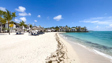 tropical beach with palm trees
