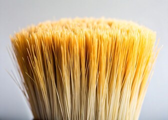Macro Shot of Paint Brush Bristles Close Up