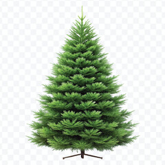 realistic 3d christmas tree without decorations in different color style isolated on transparent background