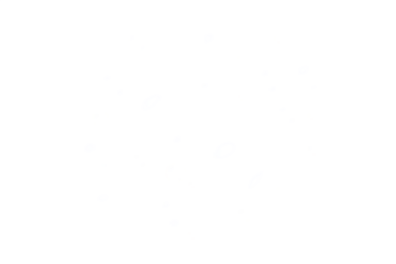 Realistic water drops on transparent background. Natural water droplet isolated on white. Summer product design element, PNG. Vector illustration