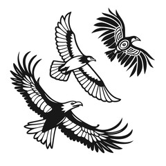 Three stylized black and white eagles in flight dynamic wing positions graphic design elements