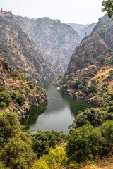River Canyon Scenery With Lush Foliage