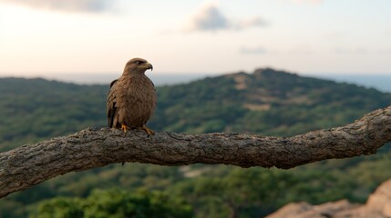 Majestic Eagle Perched on a Tree Branch with Scenic Mountain Background