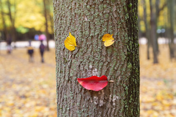 Funny character from the leaves on the trunk of a tree in an autumn park